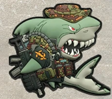 Patch Sample